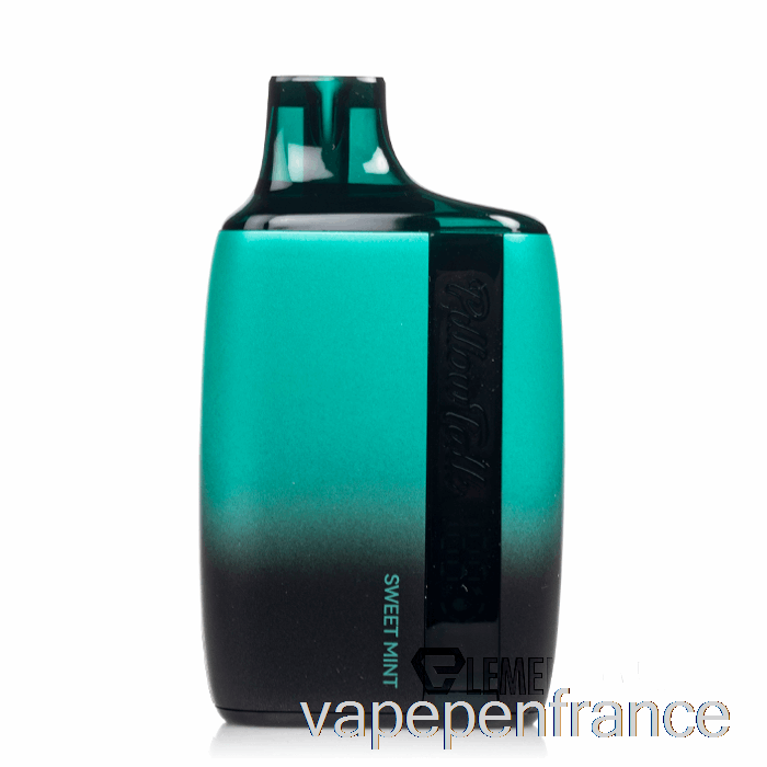 Pillow Talk 8500 Stylo Vape Jetable à La Menthe Douce